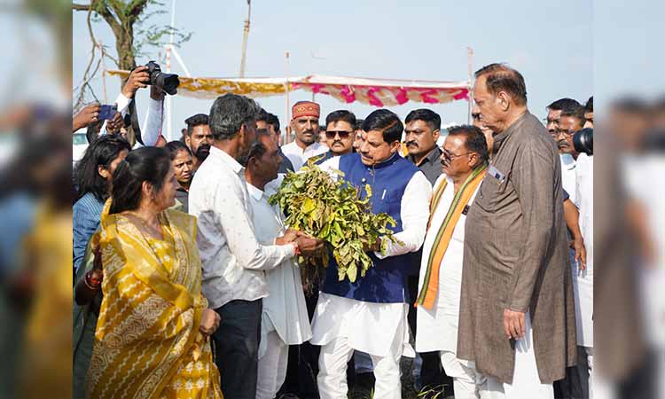 mp-cm-12-9-25-8524100