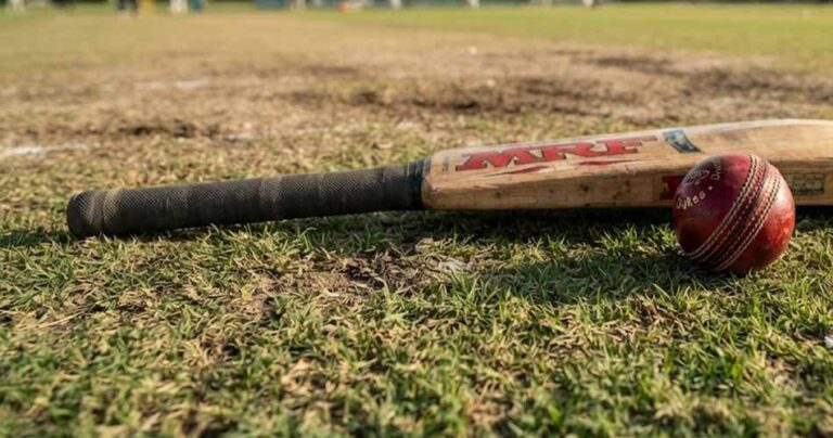 cricket-bat-25-8-26-520