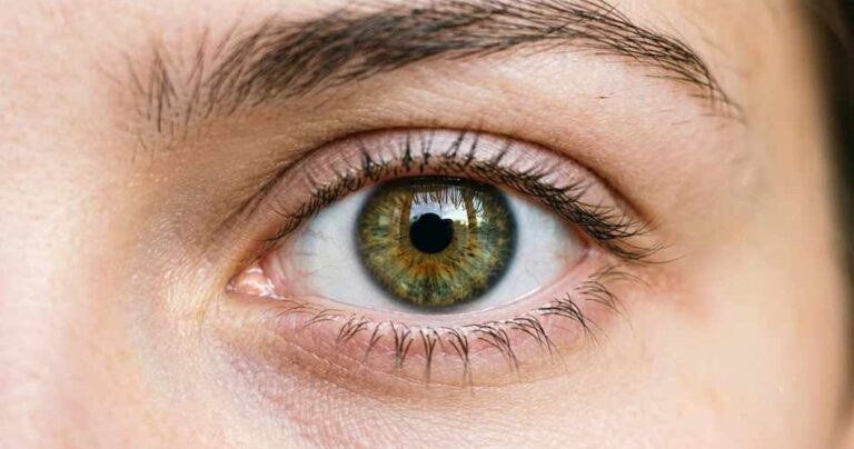 eye-img-8-9-26-52108888